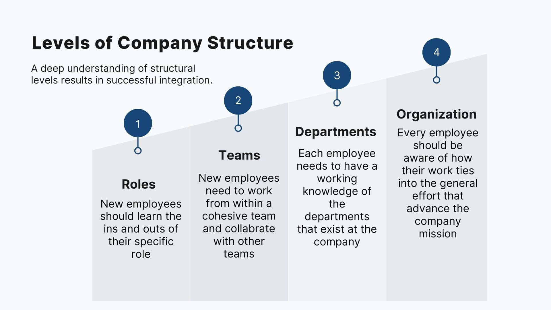Levels of Company Structure
