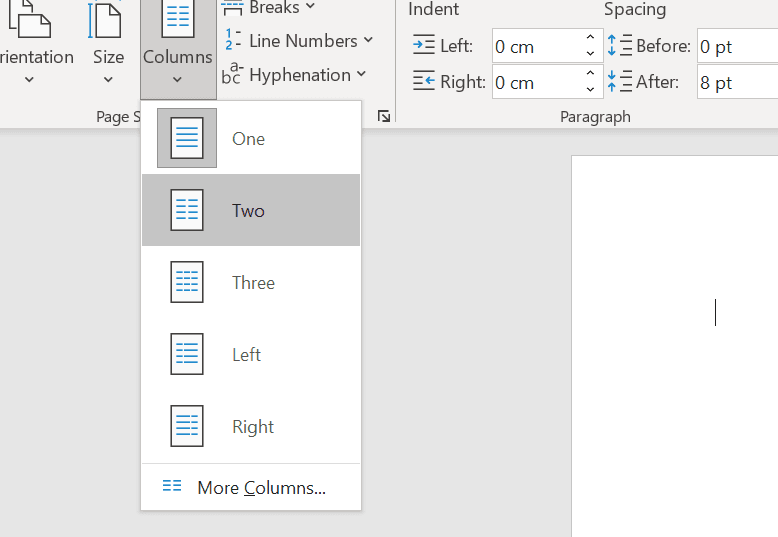 Screenshot from Microsoft Word